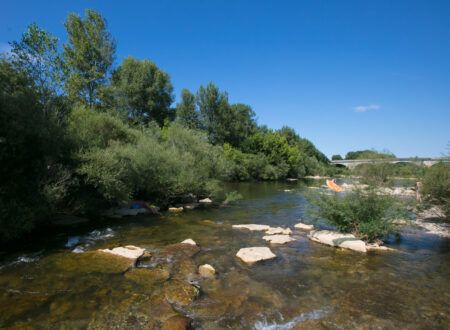 Bathing in the river